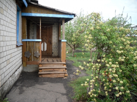 Дивный сад фото старый оскол