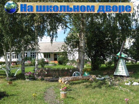 Любимая Школа Фото