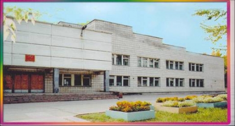 Школа 5 нижний новгород автозаводский. Школа 119 нижний новгород директор. Новосибирск школа 119 директор. Школа 119 екб. Школа 119 омск.