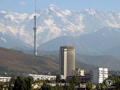 Алмаата город Стелла