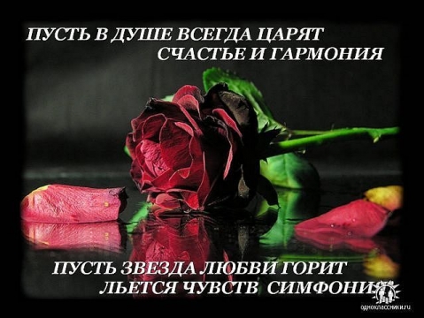 Мир и покой вашему дому. Открытка спасибо огромное. Пусть в душе цветет весна. Мира добра и благополучия вашей семье. С днем рождения розы и подарок.