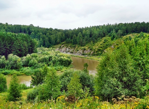 Река чебула