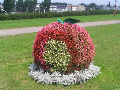 Каркасы для цветников