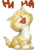 Picture background