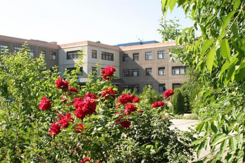 средняя общеобразовательная школа 95