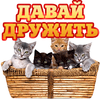 Давай дружить. Давай дружить. Давай дружить. Найти давай дружить. Давай дружить.
