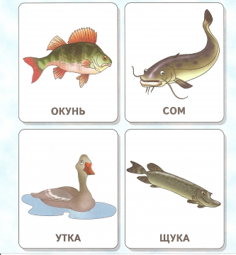 Обитатели водоемов средняя группа. Озёрные рыбы для дошкольников. Морские и Пресноводные рыбы задания для дошкольников. Карточки с изображением рыб для детей. Про речных рыб для детей подготовительной группы.