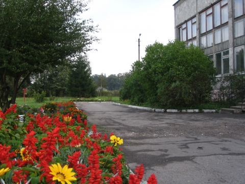 Фото Возле Школы