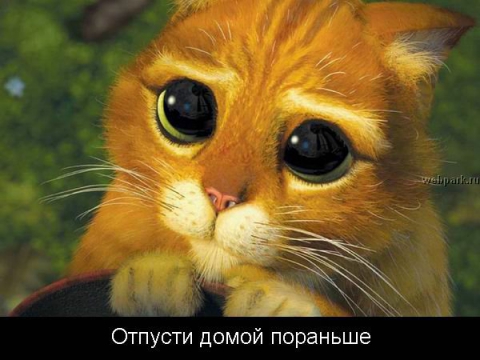 придает картинка отпусти домой данном этапе развития