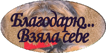 Взяла спасибо. Надпись понравилось. спасибо берем. благодарю брать. спасибо забирай.