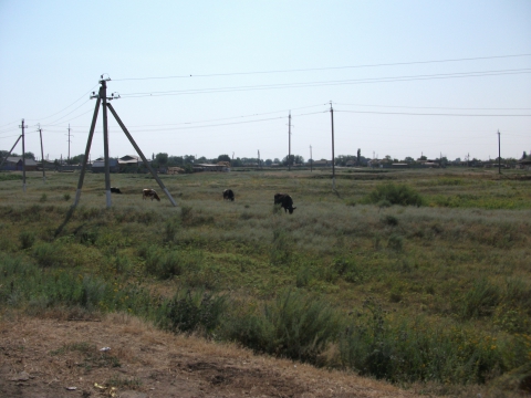 Купить В Питерке Саратовской Области