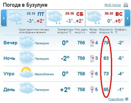 Погода бузулук оренбургская гисметео