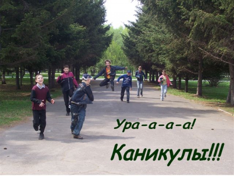 Наконец то каникулы смешные картинки