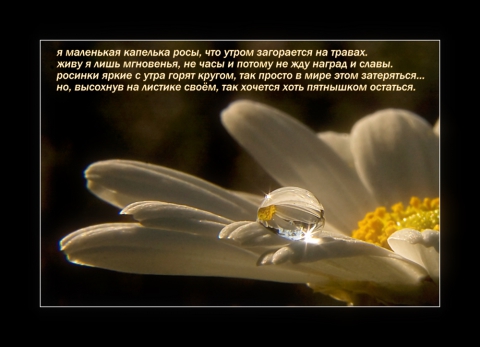 Кто сказал что капля это мало картинки