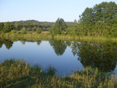 Река буй