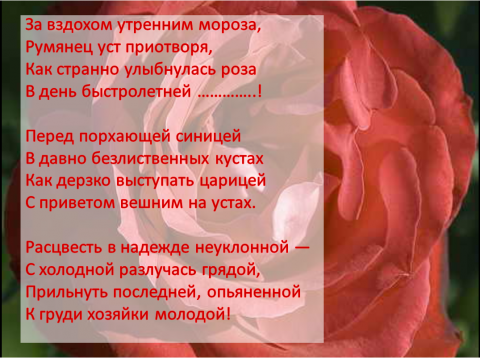 Афанасий Фет осенняя роза