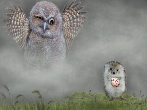 Ежик в тумане сова картинки