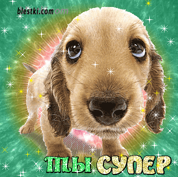 Слово собака. Открытка собачка супер. Надпись корги. Собака молодец. Собака молодец.