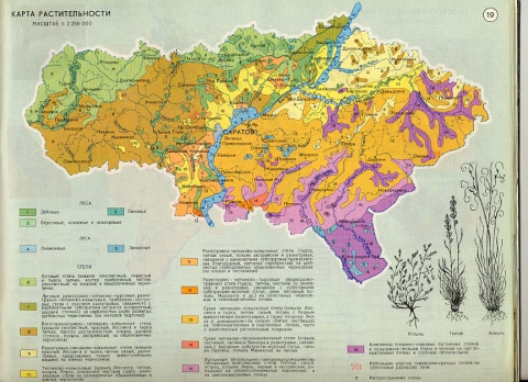 Ландшафтная карта украины