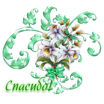 Спасибо наталья картинки