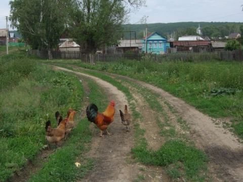 Купить Дом В Лесном Вьясе