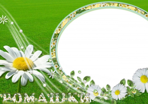 Рамка с ромашками