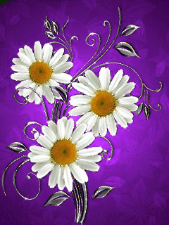 Картинки ромашки гифки